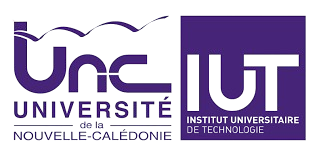 Logo de l'IUT